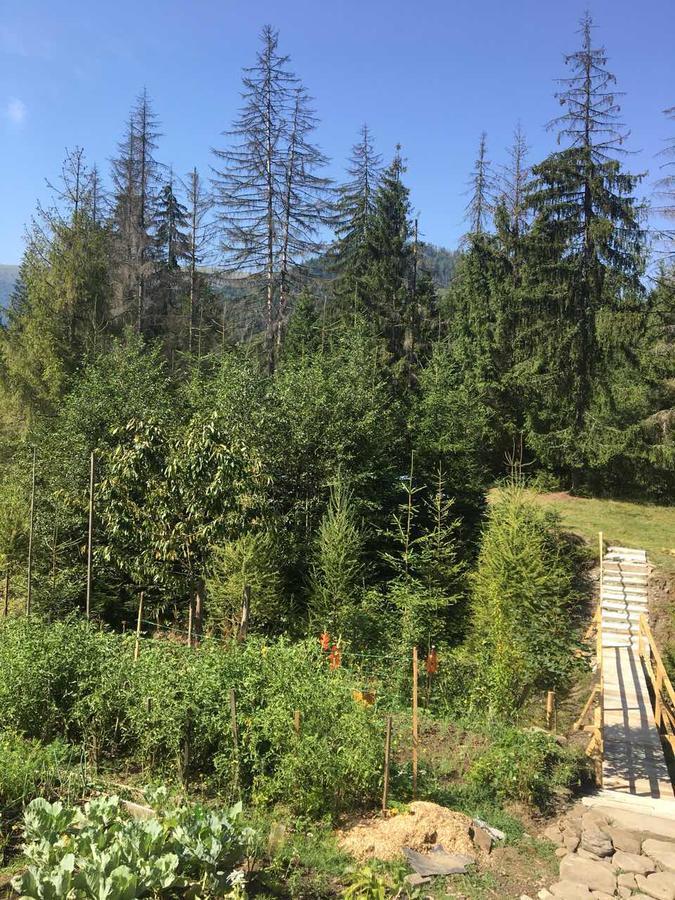 Wooddream Hotel Volovets Eksteriør billede